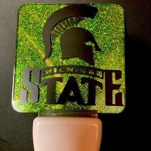 Michigan state plug in led night light
